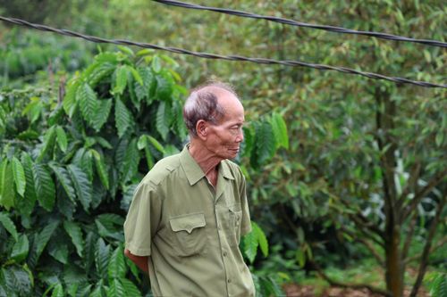 Cựu chiến binh Hồ Ngọc Út (75 tuổi) cùng đồng đội trở lại chiến trường xưa, đối chiếu ký ức để xác định vị trí chôn cất các liệt sĩ