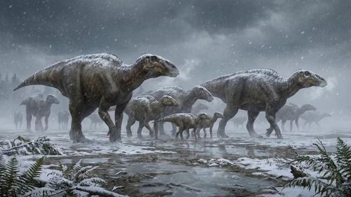 Ảnh: fantastic-dinosaurs