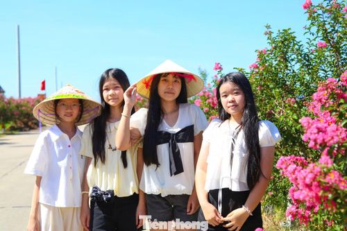 Gần một tuần nay, khi những gốc hoa bung sắc hồng, dòng người từ các địa phương lân cận, khách du lịch ghé thăm đường hoa tường vi ngày một đông. Các bạn trẻ nô nức thả dáng, lưu lại những khoảnh khắc đẹp. 
