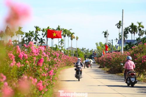 Đường hoa tường vi là kết quả sau nhiều năm người dân địa phương kiên trì vun trồng, và được Chi hội Cựu chiến binh Tổ dân phố Ngọc Liên phụ trách chăm sóc. Theo ông Đoàn Thế Kiểm – Chi hội trưởng Chi hội Cựu chiến binh Tổ dân phố Ngọc Liên, với mong muốn phát triển tuyến đường sáng – xanh – sạch – đẹp, chính quyền và người dân đã chung tay để trồng và chăm sóc đường hoa tường vi.