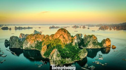 Hiện tại, tỉnh Quảng Ninh đang triển khai nhiều dịch vụ mới trong đó có mở tuyến tham quan, nối dài tuyến đem lại trải nghiệm mới cho khách du lịch đi từ vịnh Hạ Long sang vịnh Bái Tử Long.