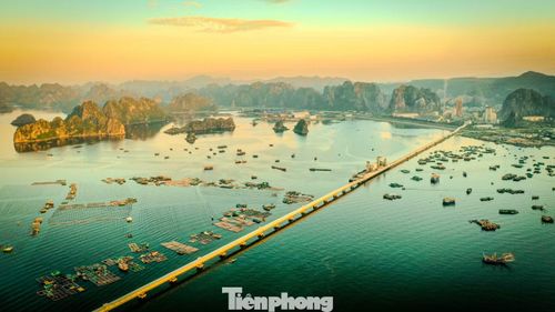 Vịnh nằm ở phía Đông Bắc vịnh Hạ Long, Quảng Ninh. Nổi tiếng với vẻ đẹp hoang sơ, yên bình và hệ sinh thái đa dạng, đây là điểm đến lý tưởng để chèo thuyền kayak, khám phá Vườn quốc gia Bái Tử Long và trải nghiệm văn hóa tại các làng chài cổ như Vung Viêng.