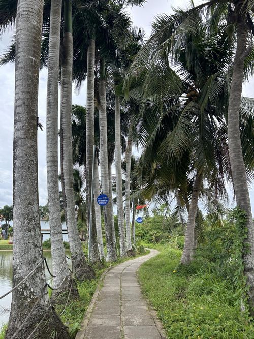 Con đường xanh mát dẫn du khách len lỏi qua các nhà vườn trên Cồn Sơn.