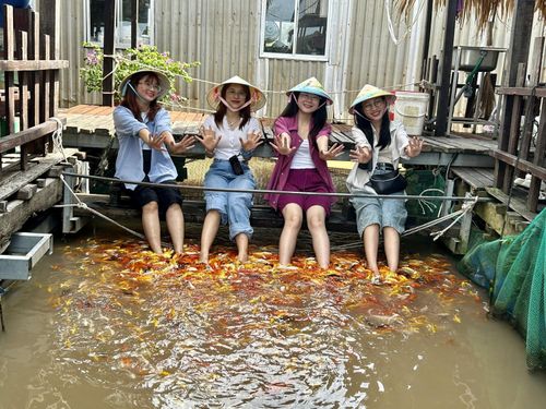 Du khách trải nghiệm dịch vụ cá masage tại bè cá Bảy Bon.