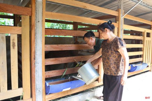 Ông Nguyễn Thế Khoa cùng vợ chăm sóc đàn hươu sao của gia đình.