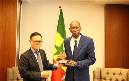Đại sứ Trần Quốc Khánh tặng quà lưu nhiệm cho Bộ trưởng Ngoại giao Senegal. Ảnh: Mạnh Hùng/ PV TTXVN tại Algeria