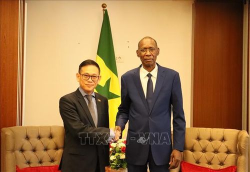 Bộ trưởng Hội nhập châu Phi, Ngoại giao và người Senegal ở nước ngoài Cheikh NIANG tiếp Đại sứ Việt Nam tại Algeria kiêm nhiệm Senegal Trần Quốc Khánh. Ảnh: Mạnh Hùng/TTXVN