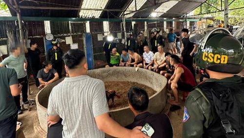 Hiện trường đối tượng tổ chức đánh bạc và đánh bạc dưới hình thức đá gà. Ảnh: Công an tỉnh Lạng Sơn