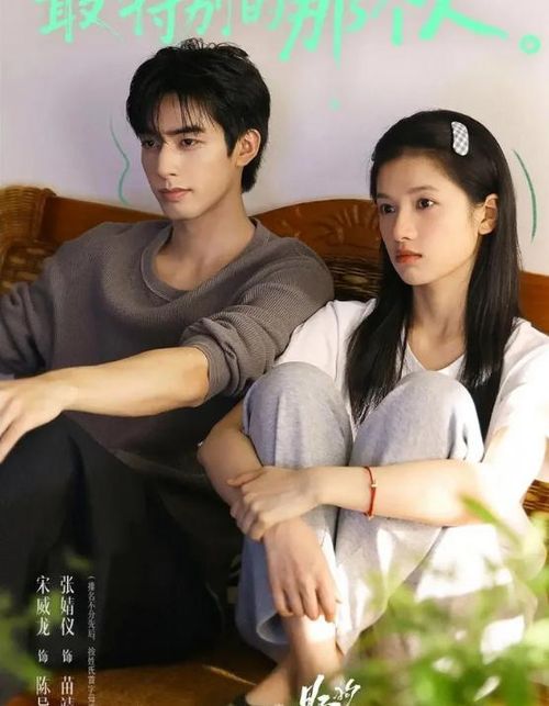 Chó Hoang Và Xương được chuyển thể từ tiểu thuyết cùng tên, kể về chuyện tình giữa Trần Dị và Miêu Tĩnh, hai con người mang nhiều tổn thương, tình cờ gặp gỡ và trở thành chỗ dựa của nhau giữa những biến cố cuộc sống. Không chỉ khai thác yếu tố lãng mạn, bộ phim còn khắc họa hành trình trưởng thành, chữa lành và vượt qua những ám ảnh trong quá khứ của các nhân vật. Với diễn xuất ăn ý của Tống Uy Long và Trương Tịnh Nghi cùng kịch bản giàu cảm xúc, Chó Hoang Và Xương trở thành một trong những phim Hoa ngữ nổi bật mùa hè 2026, đồng thời đạt 6,9 điểm Douban, nhận nhiều phản hồi tích cực từ khán giả.
