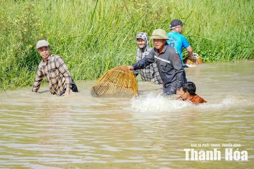 Không ít du khách lần đầu trải nghiệm cũng xắn quần xuống ao, thích thú cảm nhận một công việc tưởng chừng bình dị nhưng đòi hỏi sự nhanh nhẹn và khéo léo.