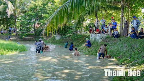 Đông người theo dõi nhất là khu vực chụp nơm bắt cá. Dưới làn nước đục màu phù sa, những chiếc nơm tre, chiếc giỏ đựng cá cùng những bước chân lội bùn đã tái hiện sinh động hình ảnh lao động quen thuộc của người nông dân vùng quê.