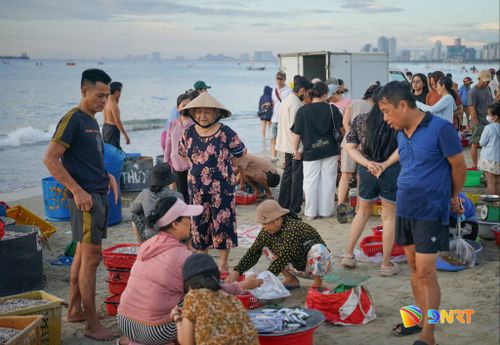 Nhiều người dân, du khách tìm mua hải sản từ sáng sớm. Ảnh: XUÂN SƠN