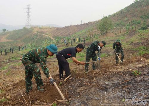 Lực lượng chức năng hỗ trợ người dân đào hố trồng cà phê, mắc ca.