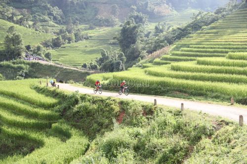 Cung đường đua uốn lượn bên những sóng lúa vàng thơ mộng.