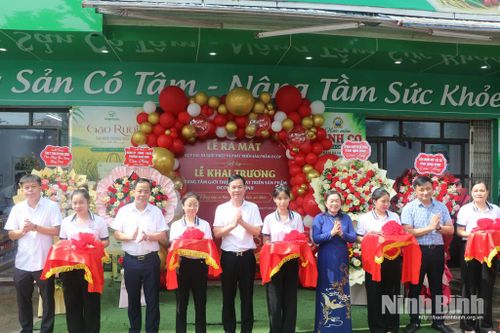 Các đại biểu thực hiện nghi lễ cắt băng ra mắt HTX Giới thiệu và phát triển sản phẩm OCOP.