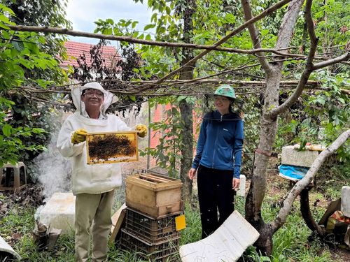 Ông Nguyễn Hữu Chức, xã Cồn Tiên kiểm tra cầu ong, theo dõi sự phát triển của đàn ong - Ảnh: L.A
