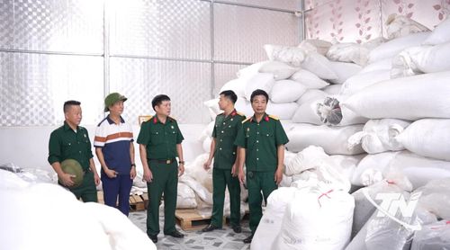 Mô hình HTX chè Hà Thanh (xã Đại Từ) góp phần tạo việc làm cho cựu chiến binh và người dân địa phương.
