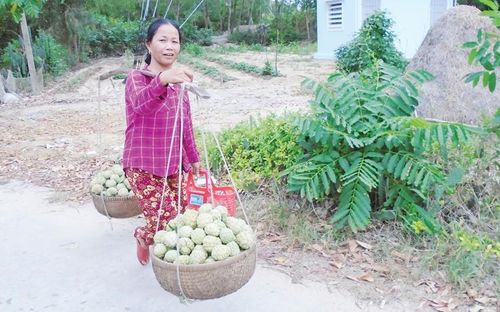 Chị Trương Chót gánh nông sản từ vườn về nhà.