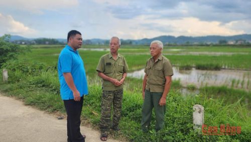 Không chỉ luôn nêu gương, đi đầu trong phát triển kinh tế, những người thương, bệnh binh sẵn sàng chia sẻ những kinh nghiệm thực tế trong canh tác, sản xuất nông nghiệp cho thế hệ trẻ.