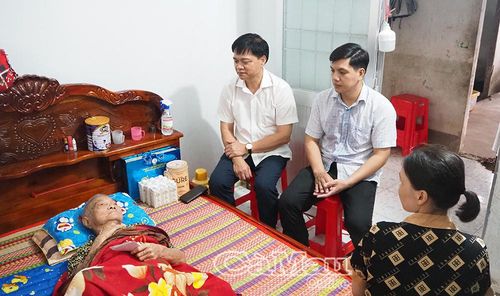 Giám đốc Sở Nông nghiệp và Môi trường Tô Hoài Phương thăm hỏi, chúc thọ Mẹ VNAH Mai Thị Điểu, Ấp Trảng Cò, Xã Trần Văn Thời.