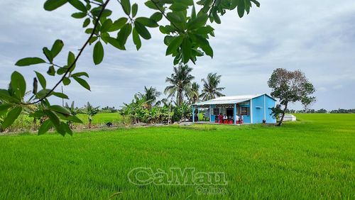  Có nhà ở kiên cố, các gia đình thêm yên tâm lao động, sản xuất để vươn lên thoát nghèo.