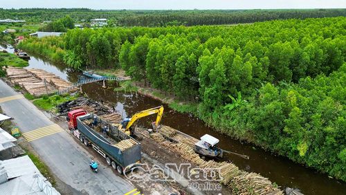 Từ bảo vệ tài nguyên, người dân sống tại khu sinh thái rừng biết cách tạo giá trị kinh tế khi tận dụng hệ sinh thái trồng thêm các loại cây khác mang lại thu nhập cao.