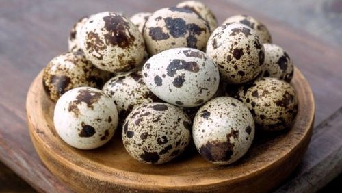 Trứng cút – Nhỏ nhưng giàu vi chất. Ảnh minh họa.