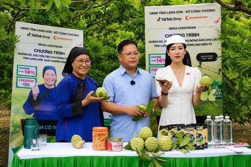 Chủ tịch UBND xã Chi Lăng tham gia phiên bán hàng trực tuyến cùng người nông dân.