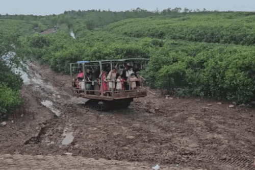  Du khách trên xe xích di chuyển ra bãi biển vô cực ở Hưng Yên, tháng 7. Ảnh: Thu Thảo. 