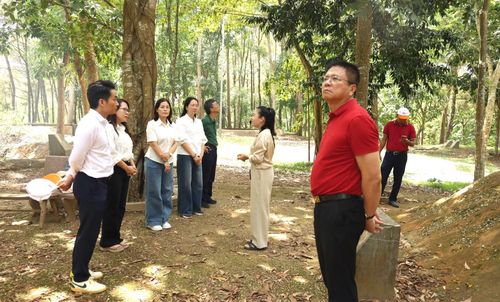 Đoàn công tác nghe thuyết minh viên chia sẻ về những chiến công tại Khu di tích lịch sử văn hóa Hàm Rồng.
