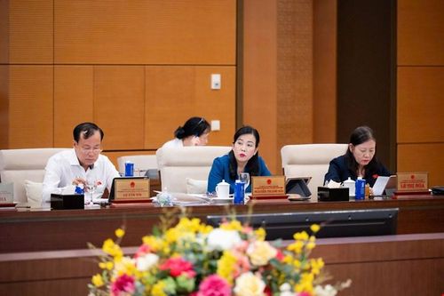 Đại biểu dự họp. Ảnh: CẨM HÀ