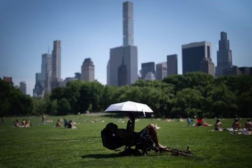 Công viên Trung tâm ở New York, Mỹ, ngày 19/5/2026. Ảnh: AP/Adam Gray.