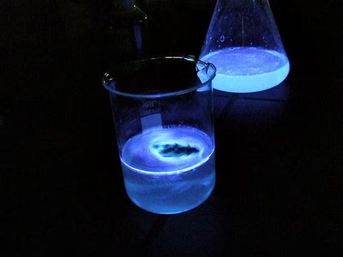 Ảnh: ultrabem