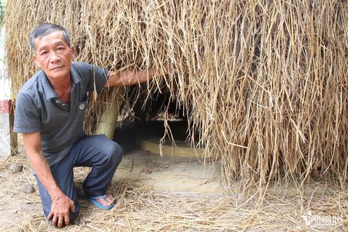 Dưới những đụn rơm bình dị trong vườn nhà dân là lối xuống hệ thống địa đạo