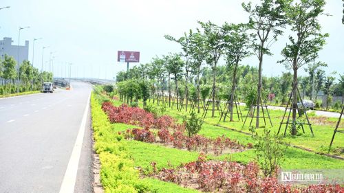 Những hàng cây, thảm cỏ và bồn hoa khoe sắc dọc tuyến đường T1 góp phần tạo nên diện mạo khang trang, hiện đại cho cửa ngõ Cảng hàng không quốc tế Long Thành.
