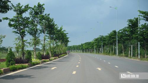Dọc hai bên tuyến đường, hàng nghìn cây xanh, thảm cỏ và các cụm cây cảnh được chăm chút kỹ lưỡng. Không chỉ trồng mới, các đơn vị thi công còn bố trí lực lượng thường xuyên tưới nước, làm cỏ, cắt tỉa, bón phân để cây phát triển đồng đều, tạo cảnh quan xanh mát ngay từ ngày đầu công trình đưa vào sử dụng.