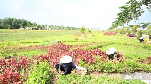 Giữa những tuyến đường hiện đại dẫn vào Cảng hàng không quốc tế Long Thành, công nhân vẫn cần mẫn chăm sóc từng thảm cỏ, khóm hoa và hàng cây, góp phần tạo nên diện mạo xanh cho cửa ngõ siêu sân bay.