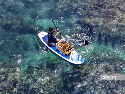 Các thành viên tổ cộng đồng đều đặn lặn thu gom rác dưới đáy biển