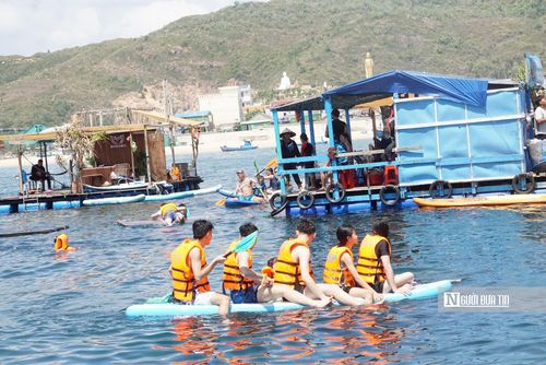 Hiện có khoảng 10 bè ngắm san hô liên kết với HTX dịch vụ du lịch cộng đồng Nhơn Hải đang hoạt động