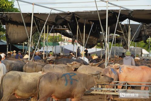 Từ lâu, chợ Ú không chỉ đơn thuần là nơi thông thương gia súc mà đã thẩm thấu sâu đậm, trở thành một nét văn hóa đặc trưng riêng của xứ Nghệ. Ý thức được giá trị đó, chính quyền địa phương cùng người dân nơi đây luôn đồng lòng bảo tồn và gìn giữ. Ngoài việc duy trì phiên chợ, chính quyền cũng phổ biến cho người dân về văn hóa ứng xử, mua bán trong chợ, tránh tình trạng chặt chém, to tiếng với nhau… Việc mua bán đều diễn ra trên tinh thần tự nguyện, không ép buộc, tranh giành.