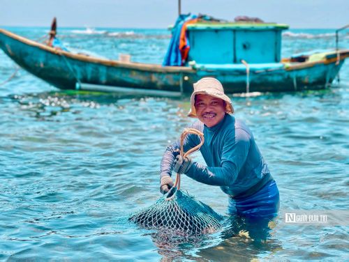 Đến Ba Làng An, nhiều du khách còn lựa chọn trải nghiệm cuộc sống của ngư dân địa phương, theo dõi hoạt động khai thác các loại hải sản như ốc, nhum, mực nhảy và thưởng thức hải sản tươi được đánh bắt gần bờ.