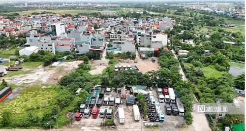 Dự thảo bổ sung quy định Nhà nước xem xét cấp giấy chứng nhận đối với các trường hợp hợp đang sử dụng đất có vi phạm về thủ tục trước ngày 8/1/2024,