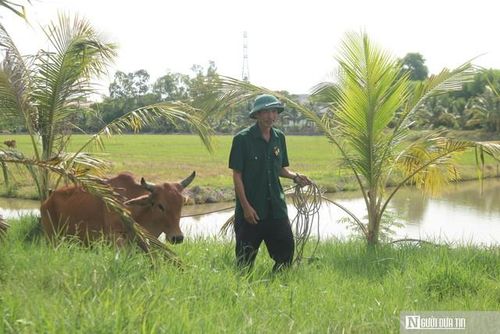 Trở về từ chiến trường, CCB Đặng Văn Luân trở thành tấm gương sáng trong cách làm kinh tế tại địa phương.