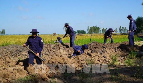 Khi thu thập đủ các yếu tố cần thiết, Đội K91 tiến hành tổ chức đào tìm hài cốt liệt sĩ. Ảnh: Nhựt An - TTXVN