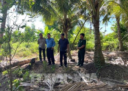 Sau khi xác minh thông tin, lãnh đạo Đội K91 đến khảo sát ngoài thực địa khu vực nghi ngờ có chôn cất hài cốt liệt sĩ. Ảnh: TTXVN phát