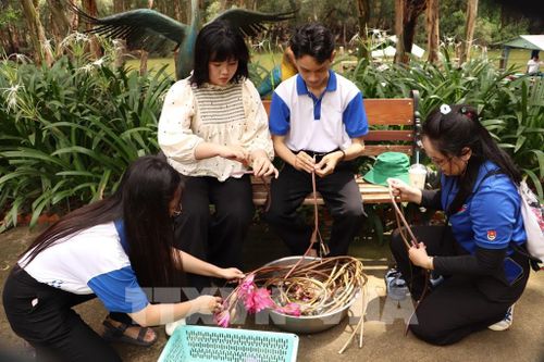 Các bạn trẻ phụ làm phần nguyên liệu chế biến cá và chuột. Ảnh: Hồng Nhung - TTXVN