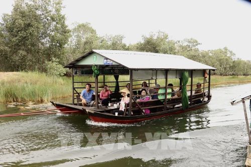 Du khách được đưa đi xem dỡ chà cá tại Vườn Quốc gia Tràm Chim. Ảnh: Hồng Nhung - TTXVN