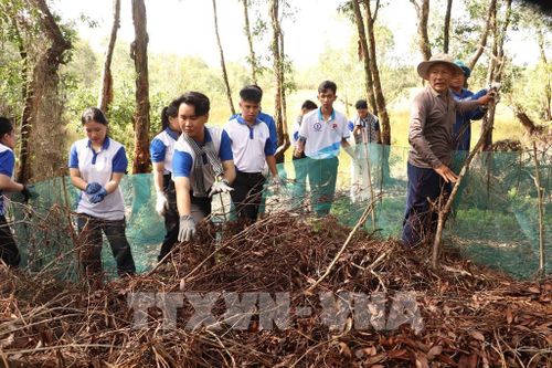 Du khách dỡ chà chuột cùng nông dân vùng đệm Vườn Quốc gia Tràm Chim. Ảnh: Hồng Nhung - TTXVN