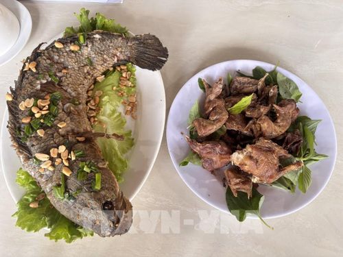 Món cá lóc và chuột đồng được chế biến sau khi dỡ chà. Ảnh: Hồng Nhung - TTXVN 