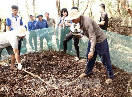 Du khách trải nghiệm đặt chà chuột tại Tràm Chim. Ảnh: Hồng Nhung - TTXVN